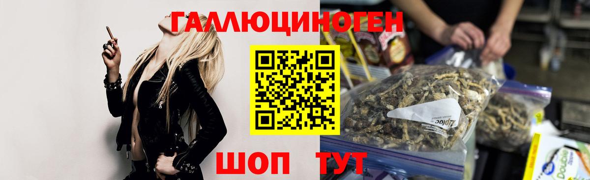 Галлюциногенные грибы MAGIC MUSHROOMS  Галлюциногенные грибы Psilocybe  Вход с VPN  Карачаевск 